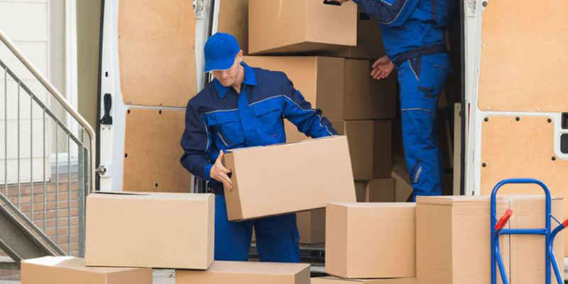 services